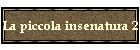 La piccola insenatura 2