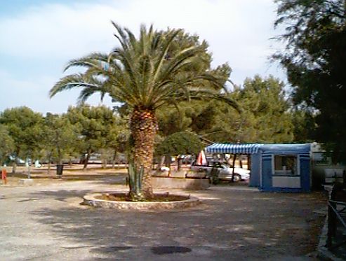 La palma
